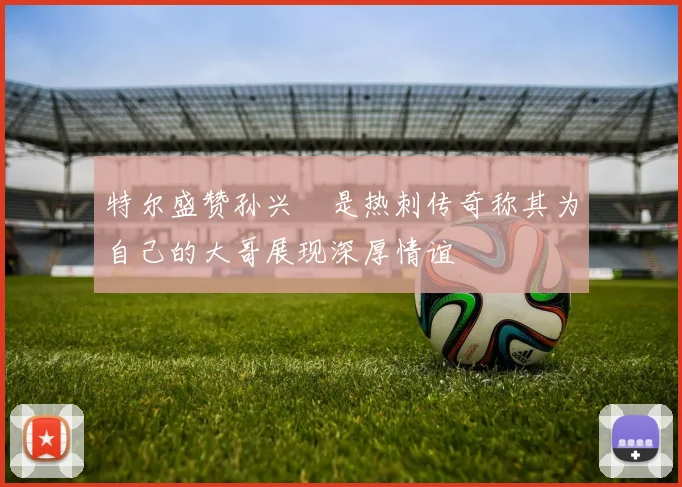 特尔盛赞孙兴慜是热刺传奇称其为自己的大哥展现深厚情谊