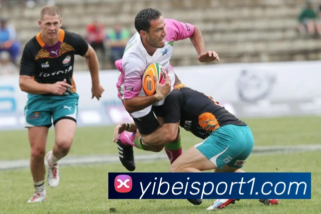 多媒体互动体验